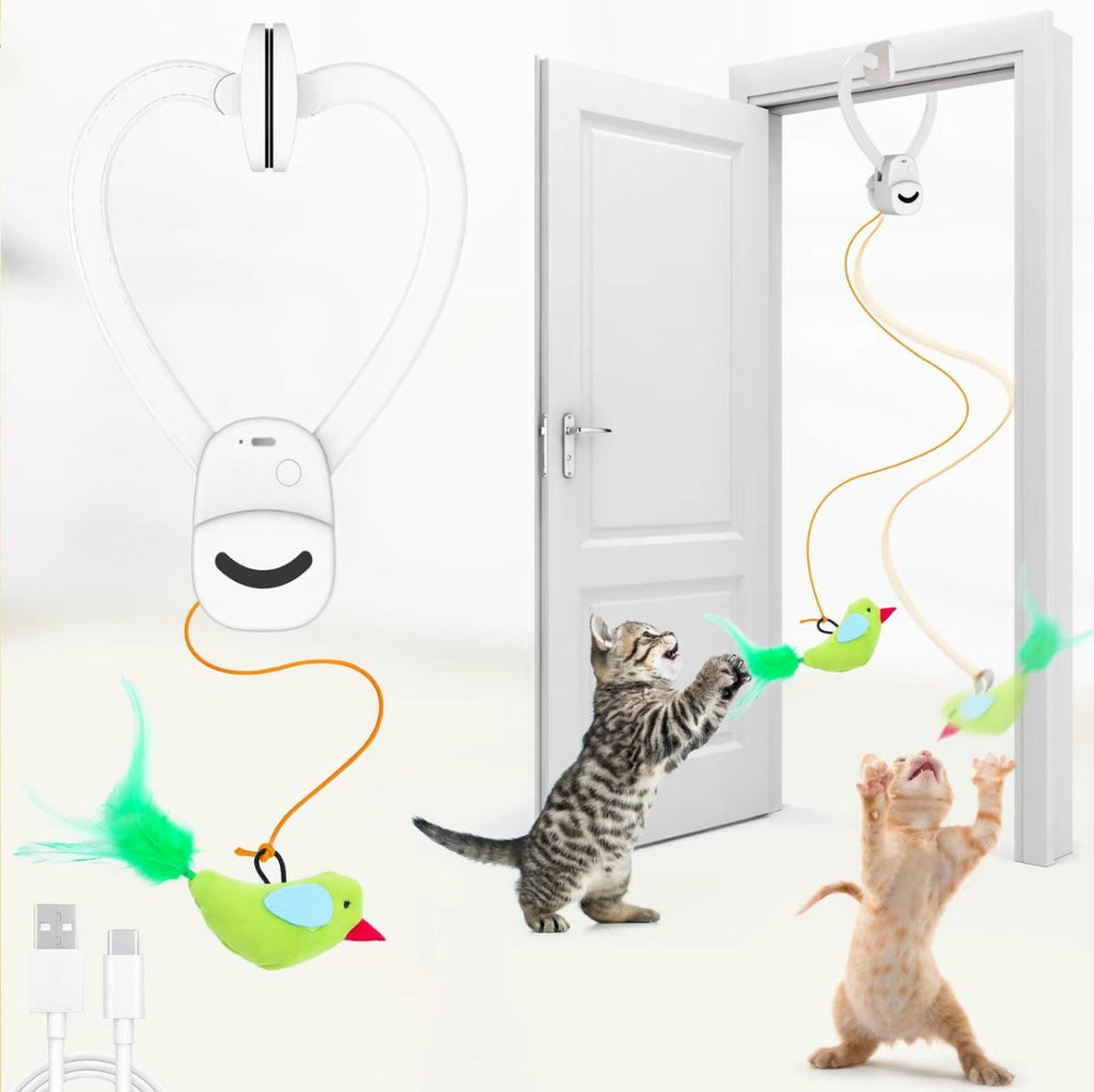CHASEWING – Interactive Bird Toy for Active Cats