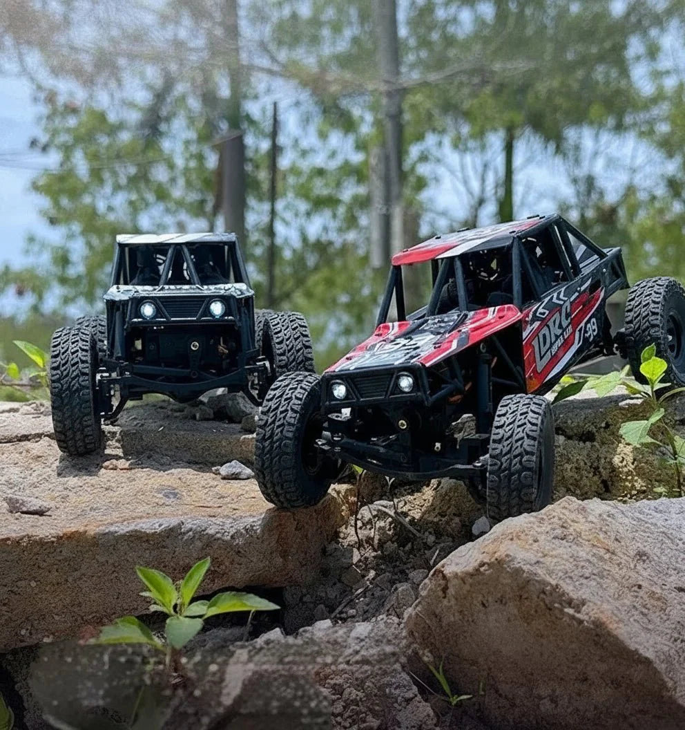 WILDTRAX – 1:18 4WD Off-Road RC Car with High-Speed Performance