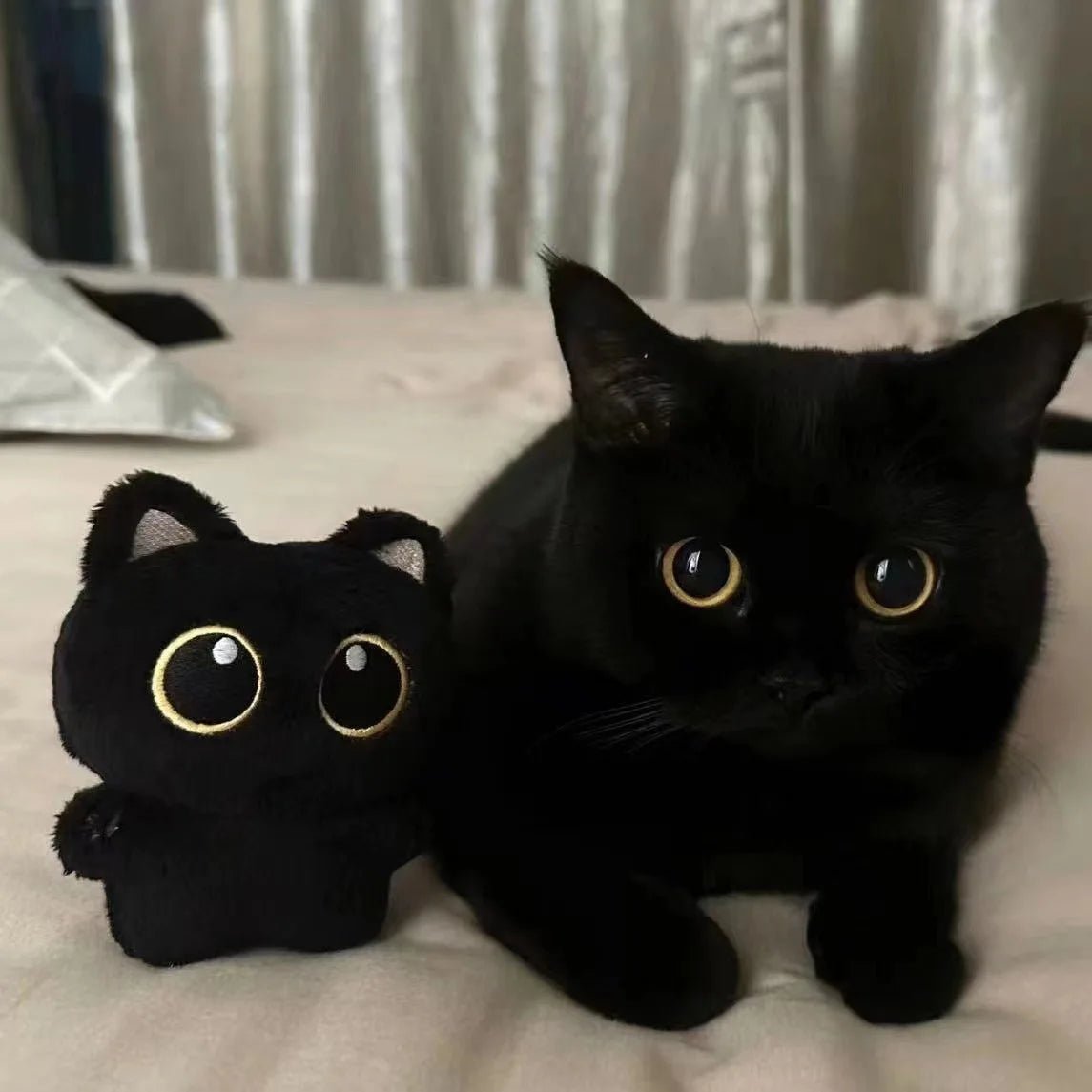 Minikitty – Cute 10 cm Black Cat Plush Toy for Children