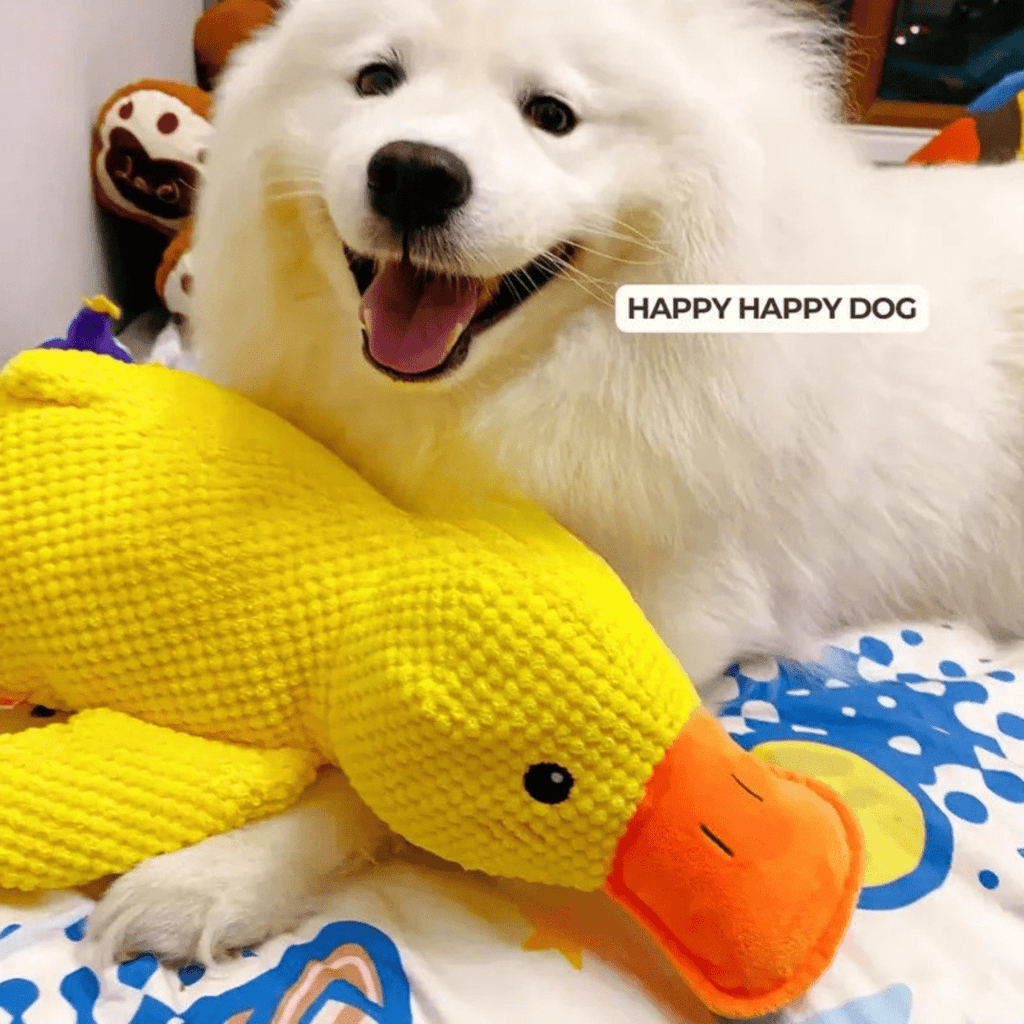 Quackly – Soothing Plush Toy for Dogs with Squeaker, Machine Washable