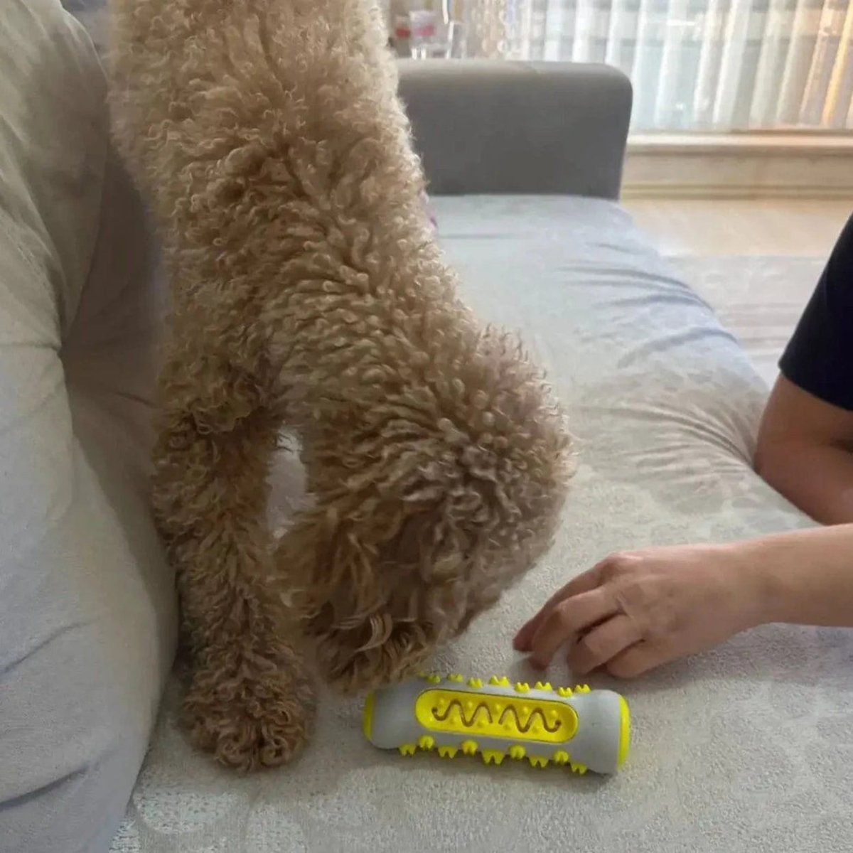 PETZEN – Relaxing Dog Toy with Infused Lavender & Chamomile