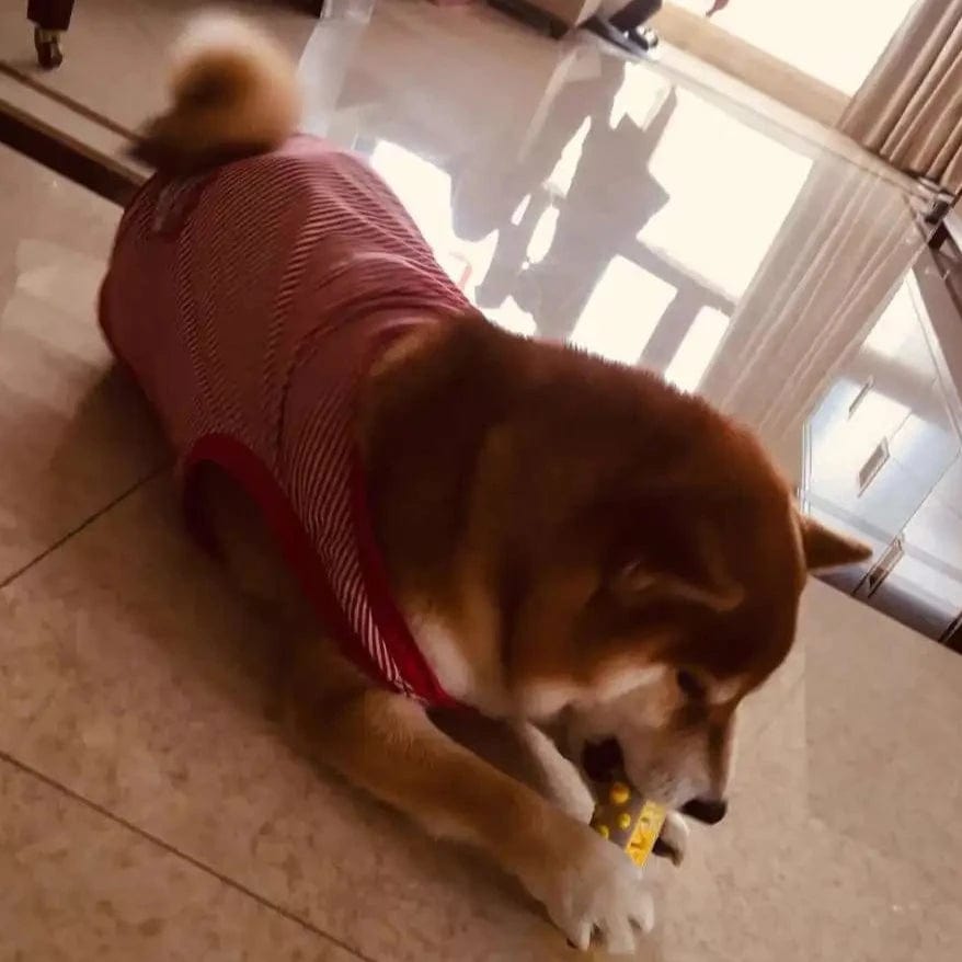 PETZEN – Relaxing Dog Toy with Infused Lavender & Chamomile